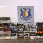 Denunciades vuit persones per tinença il·lícita d’ocells fringíl·lids a Cornellà de Llobregat