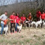 Arena consolida la prueba de trabajo con perros de rastro sobre jabalí durante la feria de caza