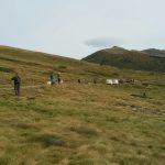 Buena participación y organización del VI concurso de alta montaña sobre perdiz salvaje